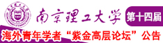 骚逼湿了啊啊啊视频南京理工大学第十四届海外青年学者紫金论坛诚邀海内外英才！